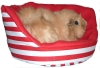"Where's Wally" Cuddle Cup 