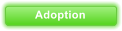 Adoption