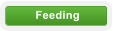 Feeding
