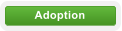 Adoption