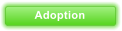 Adoption