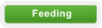 Feeding