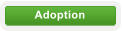 Adoption