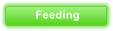 Feeding