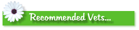 Recommended Vets...