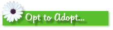 Opt to Adopt...