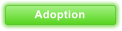 Adoption
