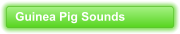 Guinea Pig Sounds