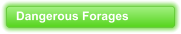 Dangerous Forages