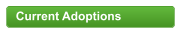 Current Adoptions
