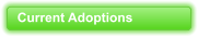 Current Adoptions