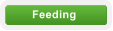 Feeding