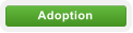 Adoption
