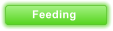 Feeding