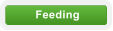 Feeding