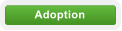 Adoption