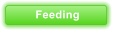 Feeding