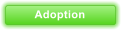 Adoption
