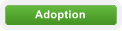 Adoption