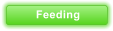 Feeding