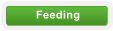 Feeding