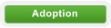 Adoption