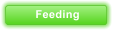 Feeding