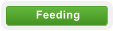 Feeding