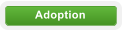 Adoption