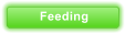 Feeding